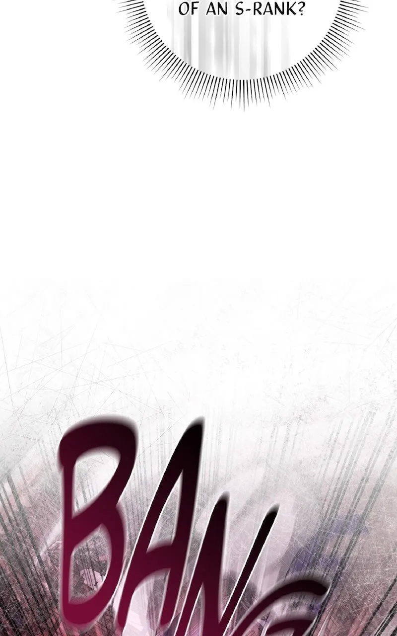 Illusion Hunter from Another World Chapter 42 page 65 - 