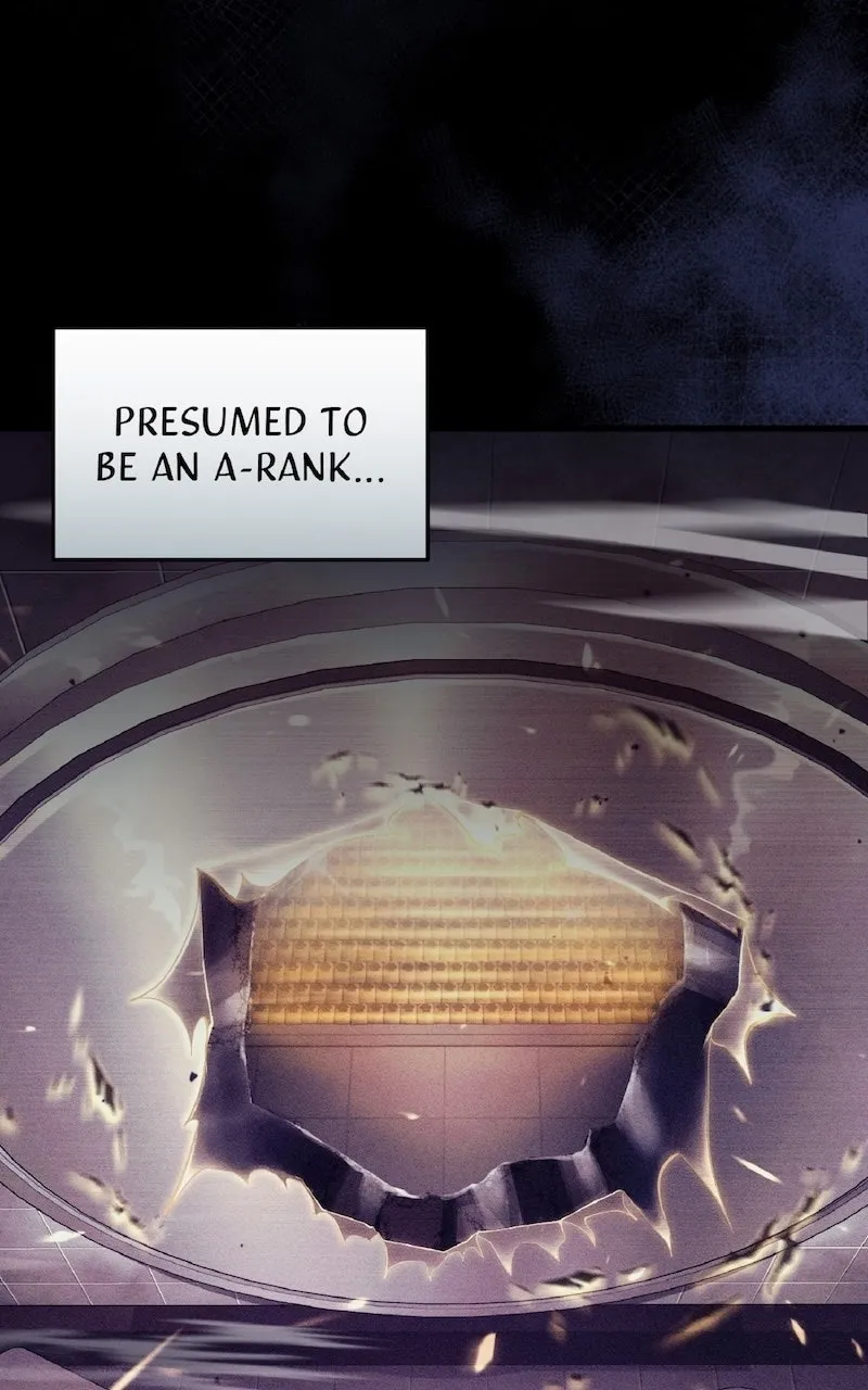 Illusion Hunter from Another World Chapter 45 page 67 - 