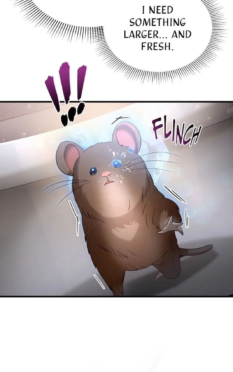 Illusion Hunter from Another World Chapter 46 page 15 - 