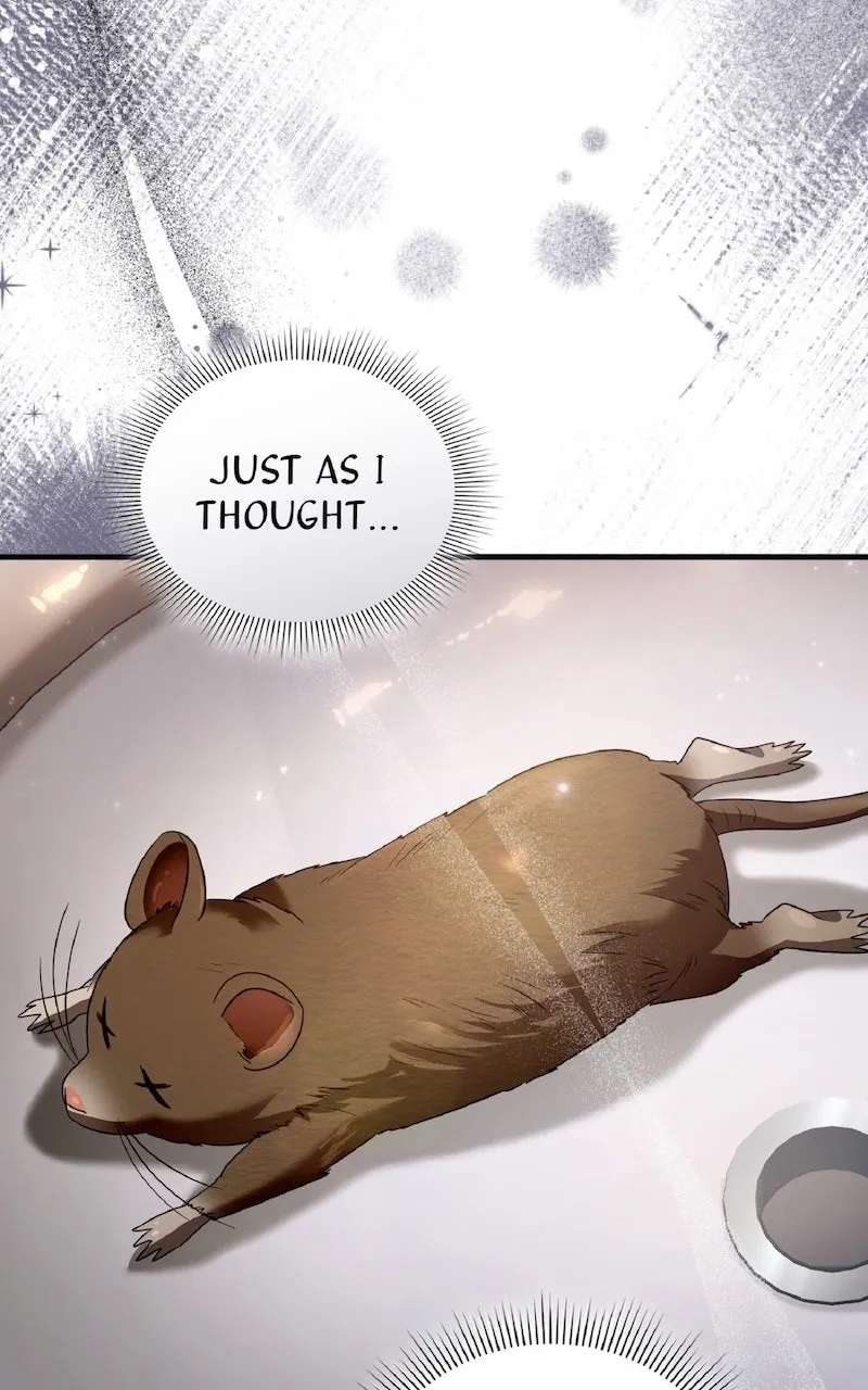 Illusion Hunter from Another World Chapter 46 page 17 - 