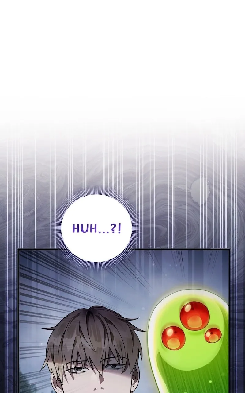 Illusion Hunter from Another World Chapter 46 page 54 - 