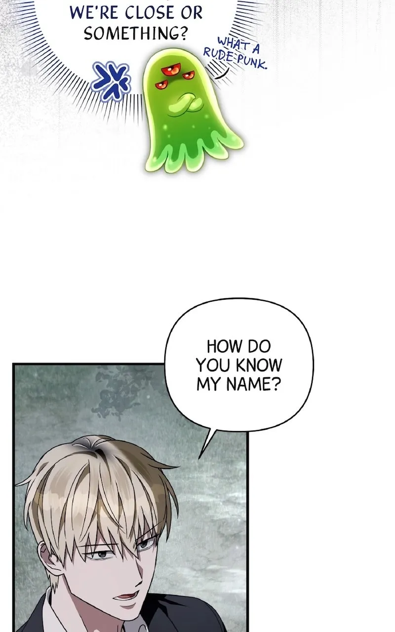 Illusion Hunter from Another World Chapter 46 page 71 - 