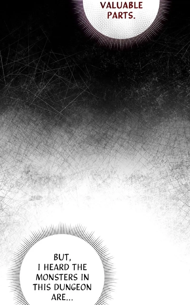 Illusion Hunter from Another World Chapter 50 page 12 - 