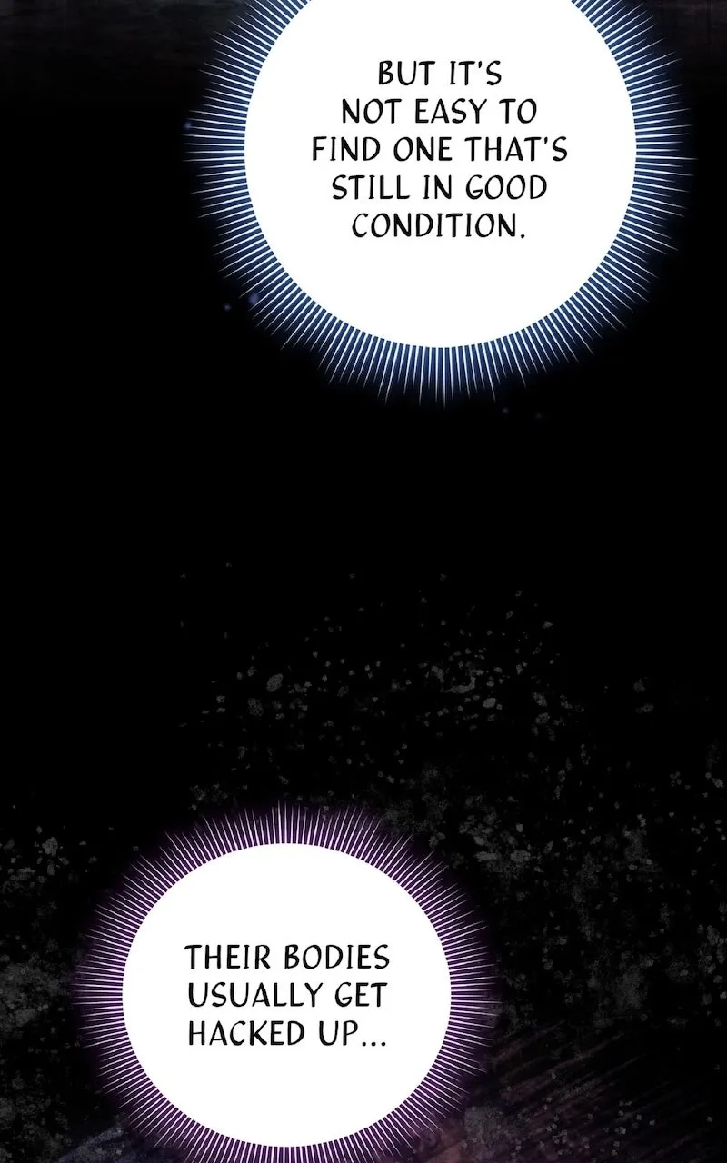 Illusion Hunter from Another World Chapter 50 page 10 - 