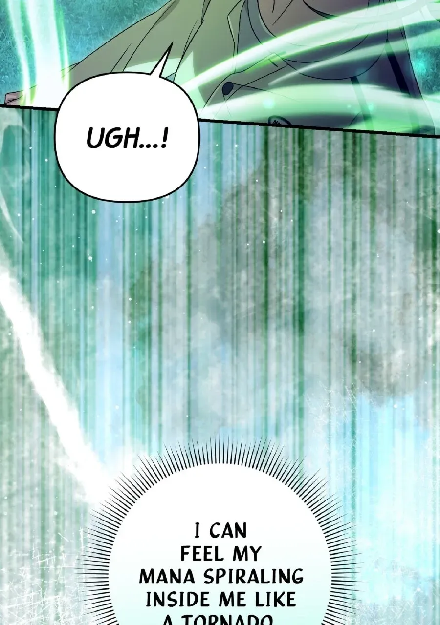 Illusion Hunter from Another World Chapter 70 page 23 - 