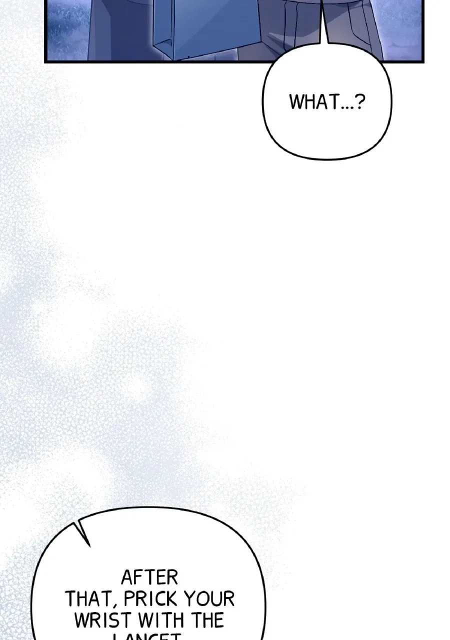 Illusion Hunter from Another World Chapter 70 page 6 - 