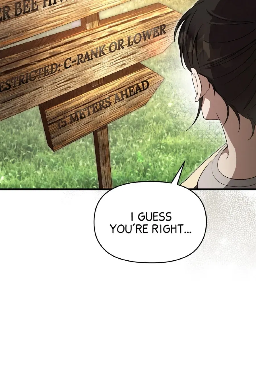 Illusion Hunter from Another World Chapter 71 page 13 - 