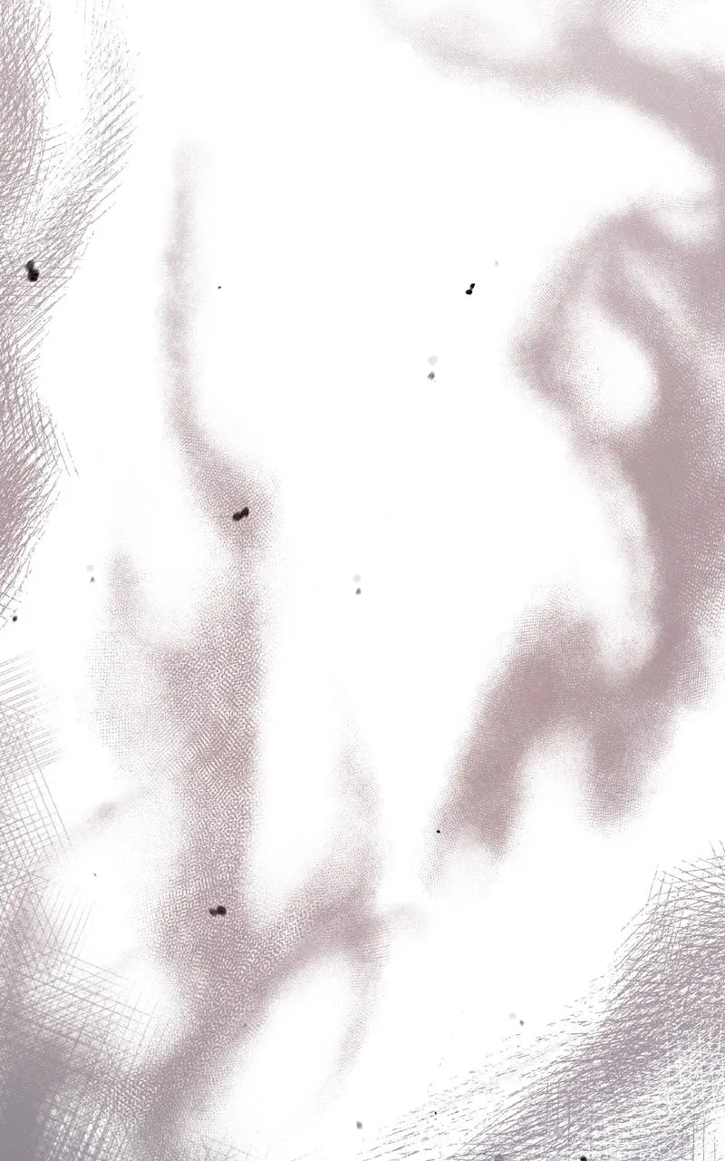 Illusion Hunter from Another World Chapter 8 page 101 - 