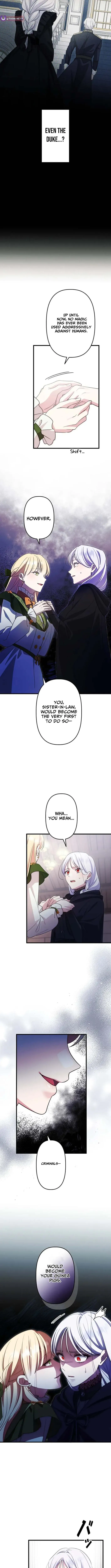 I’m a Condemned Witch, but I’m Being Loved After My Regression!? Chapter 3 page 2 - 
