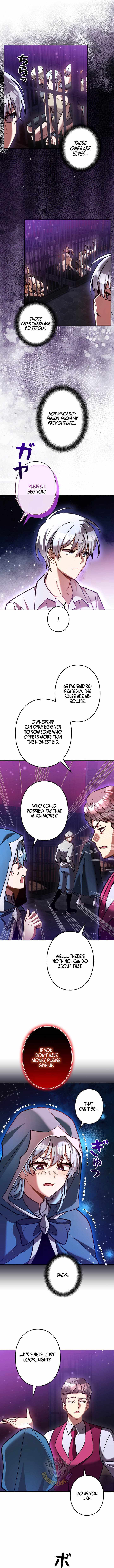 I’m a Hero, but the Heroines are Trying to Kill Me Chapter 48 page 6 - 