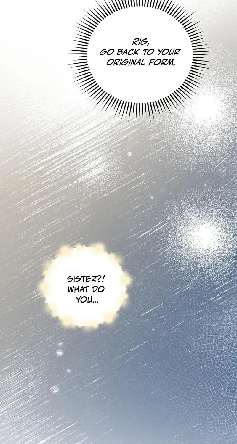 I’m Done Being a Hero, Even If It’s Retirement Chapter 39 page 17 - 