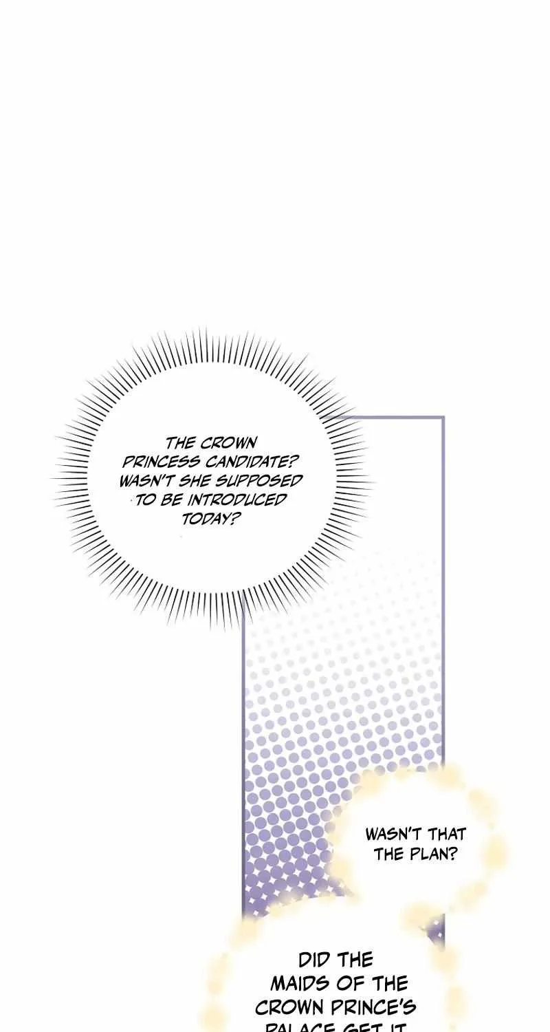 I’m Done Being a Hero, Even If It’s Retirement Chapter 42 page 65 - 