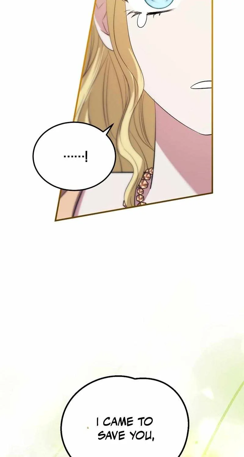 I’m Done Being a Hero, Even If It’s Retirement Chapter 44 page 91 - 