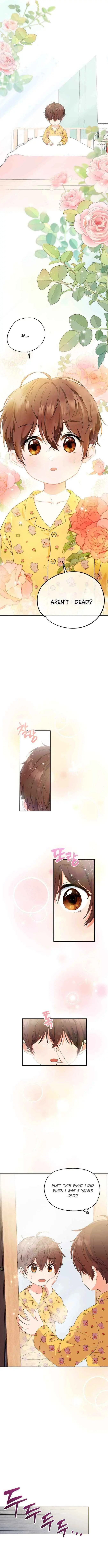 I’m Going to Be the Child Actor in This Life Chapter 1 page 8 - 