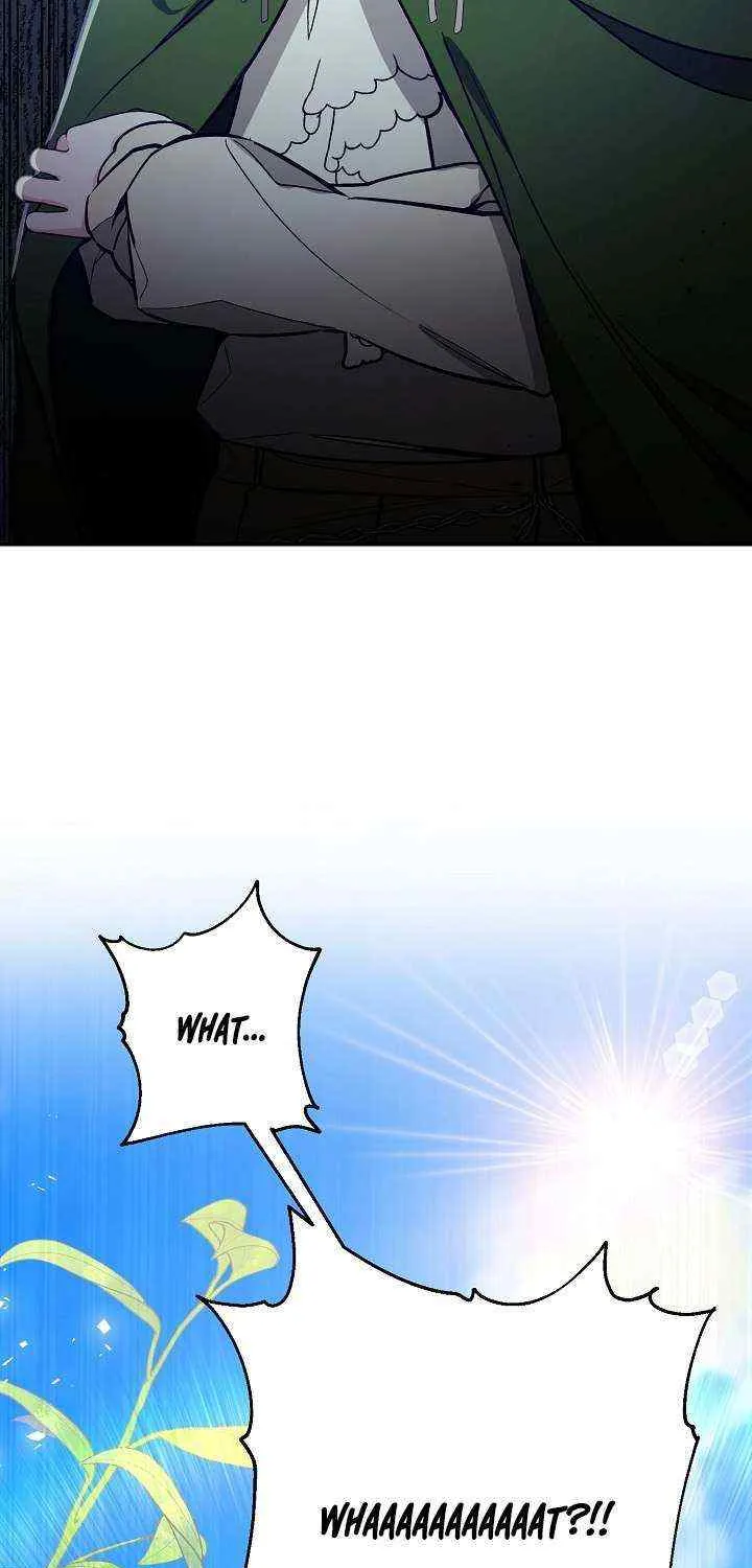 I’m Here to Destroy Chapter 8 page 25 - 