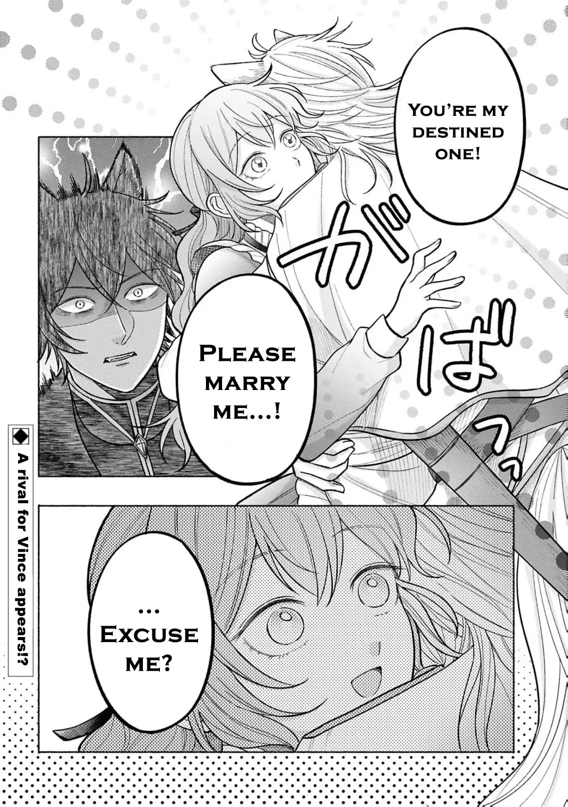 I’m Just the Saint’s Maid Cleaning Up Her Mess. So Why Am I Suddenly Being Courted by the Black Wolf King of the Beastkin Nation!? Chapter 12 page 27 - 