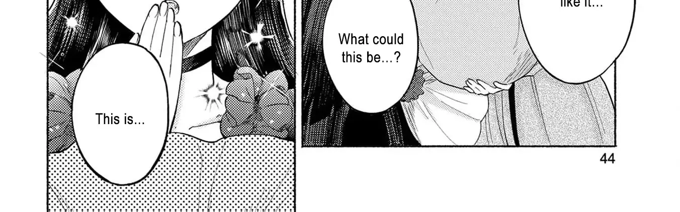 I’m Just the Saint’s Maid Cleaning Up Her Mess. So Why Am I Suddenly Being Courted by the Black Wolf King of the Beastkin Nation!? Chapter 2 page 24 - 