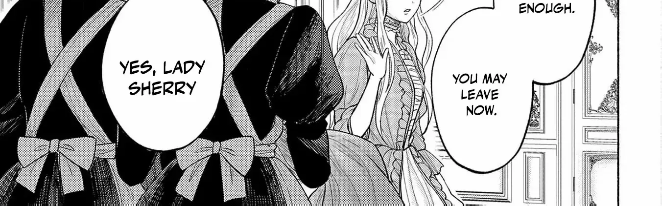 I’m Just the Saint’s Maid Cleaning Up Her Mess. So Why Am I Suddenly Being Courted by the Black Wolf King of the Beastkin Nation!? Chapter 3 page 14 - 