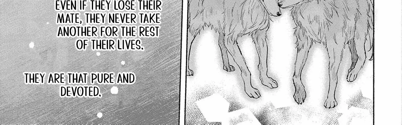 I’m Just the Saint’s Maid Cleaning Up Her Mess. So Why Am I Suddenly Being Courted by the Black Wolf King of the Beastkin Nation!? Chapter 3 page 46 - 