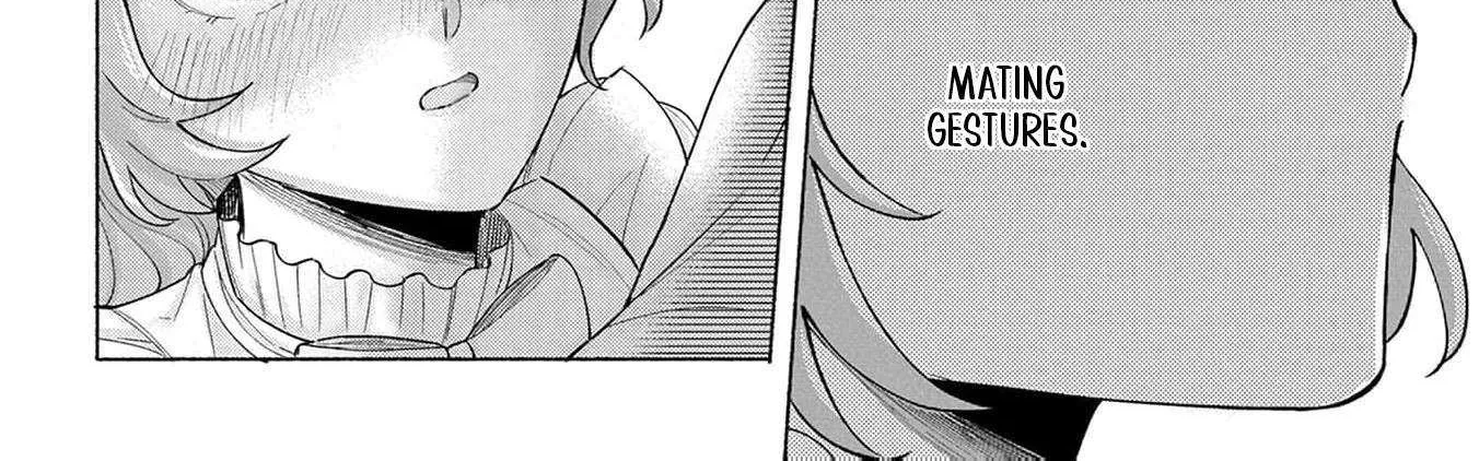 I’m Just the Saint’s Maid Cleaning Up Her Mess. So Why Am I Suddenly Being Courted by the Black Wolf King of the Beastkin Nation!? Chapter 5 page 34 - 