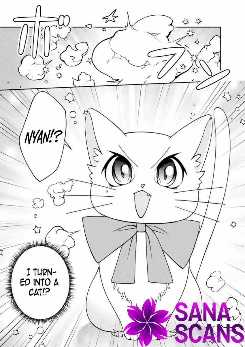 I’m Living Happily, So Please Leave Me Alone! Chapter 2 page 30 - 