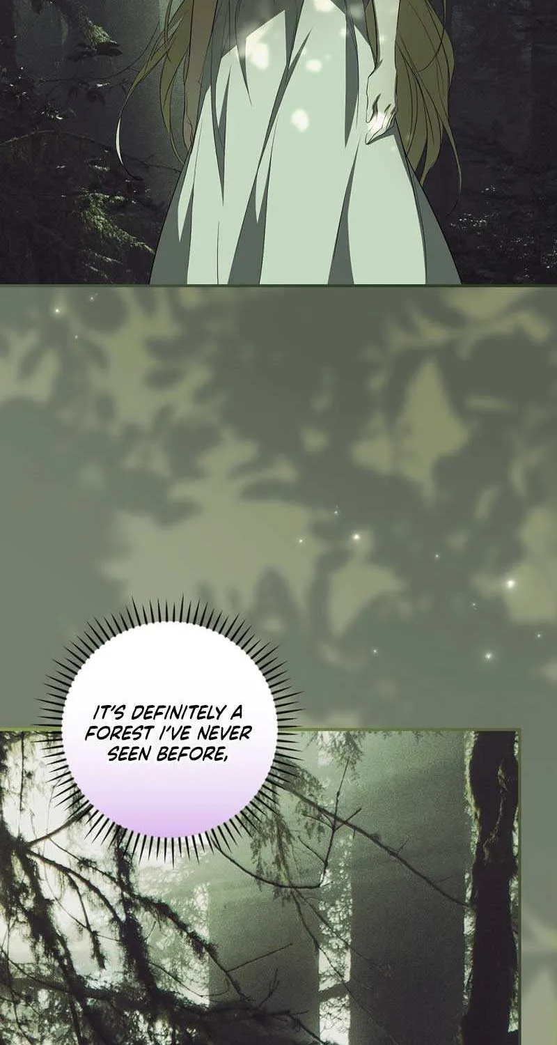 I’m Looking for a New Husband Chapter 11 page 53 - 