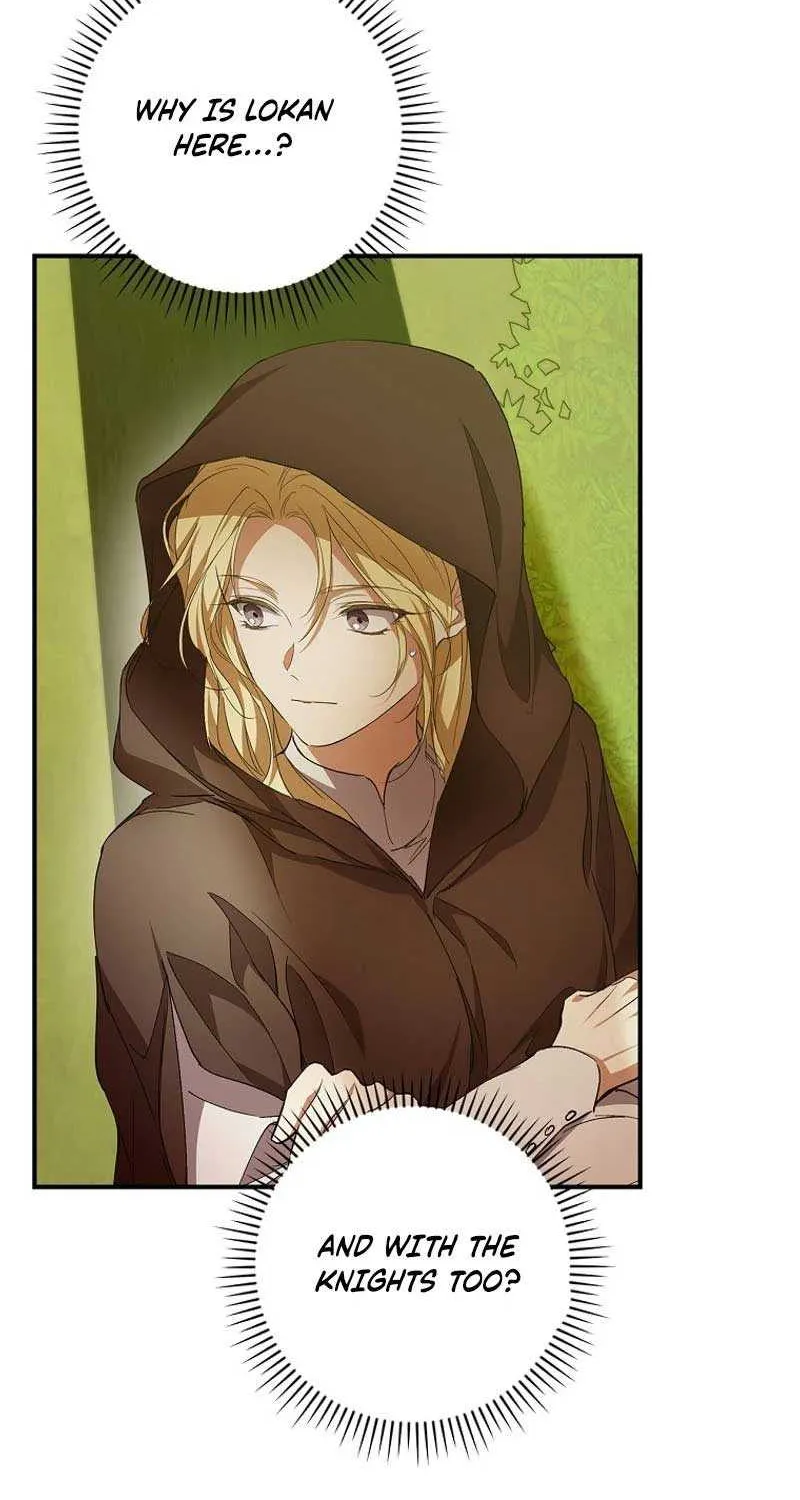 I’m Looking for a New Husband Chapter 13 page 3 - 