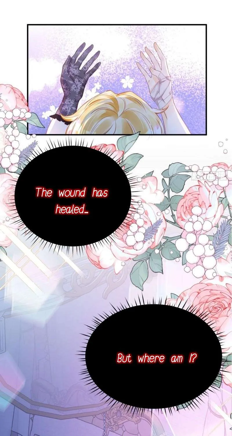 I’m Not the Villain’s White Moonlight! Chapter 4 page 25 - 