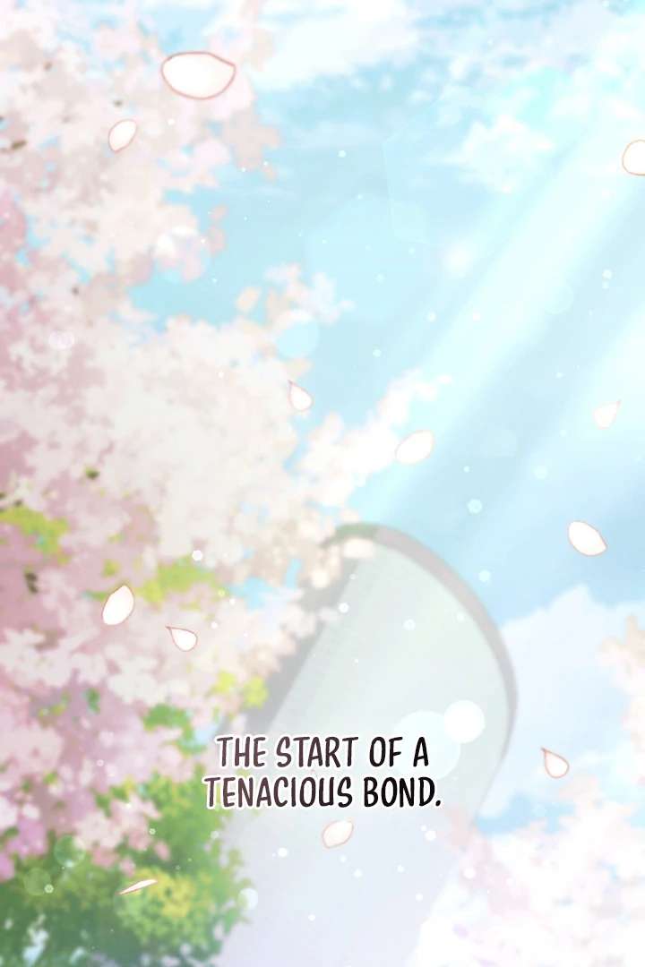 I’m Not Your Fated Guide But… Chapter 2 page 195 - 