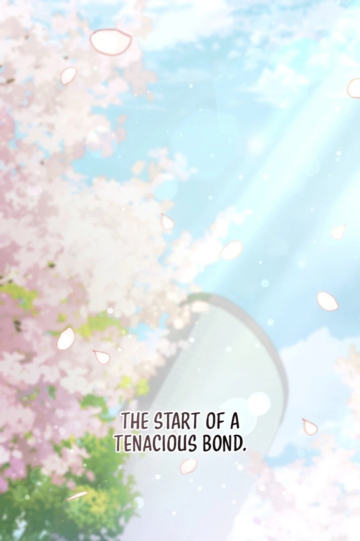 I’m Not Your Guide to Destiny Chapter 36.3 page 195 - 