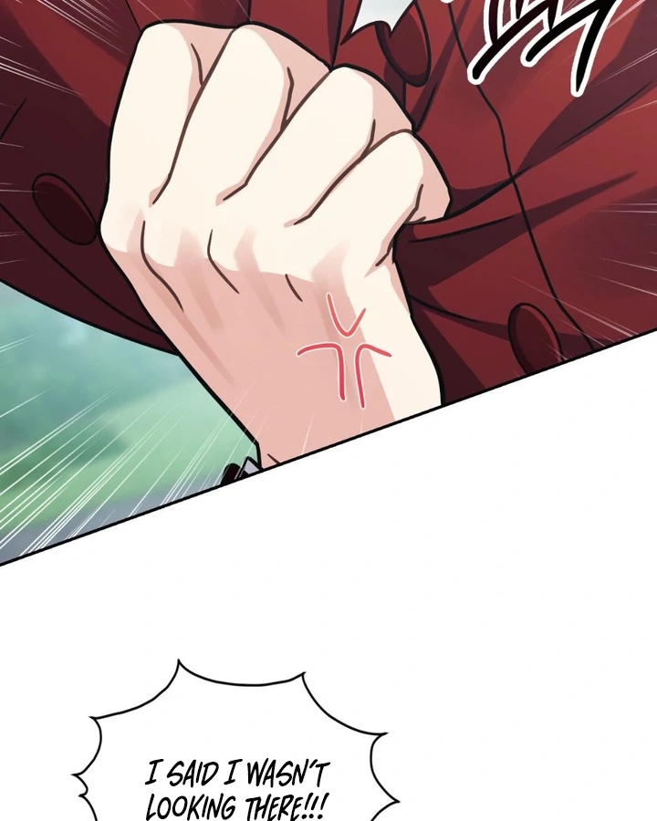 I’m Not Your Guide to Destiny Chapter 36.5 page 95 - 