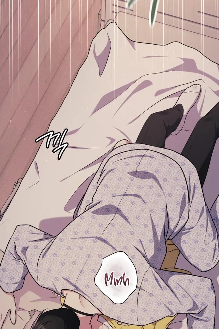 I’m Not Your Guide to Destiny Chapter 38.5 page 14 - 