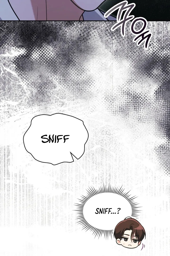 I’m Not Your Guide to Destiny Chapter 38.9 page 16 - 