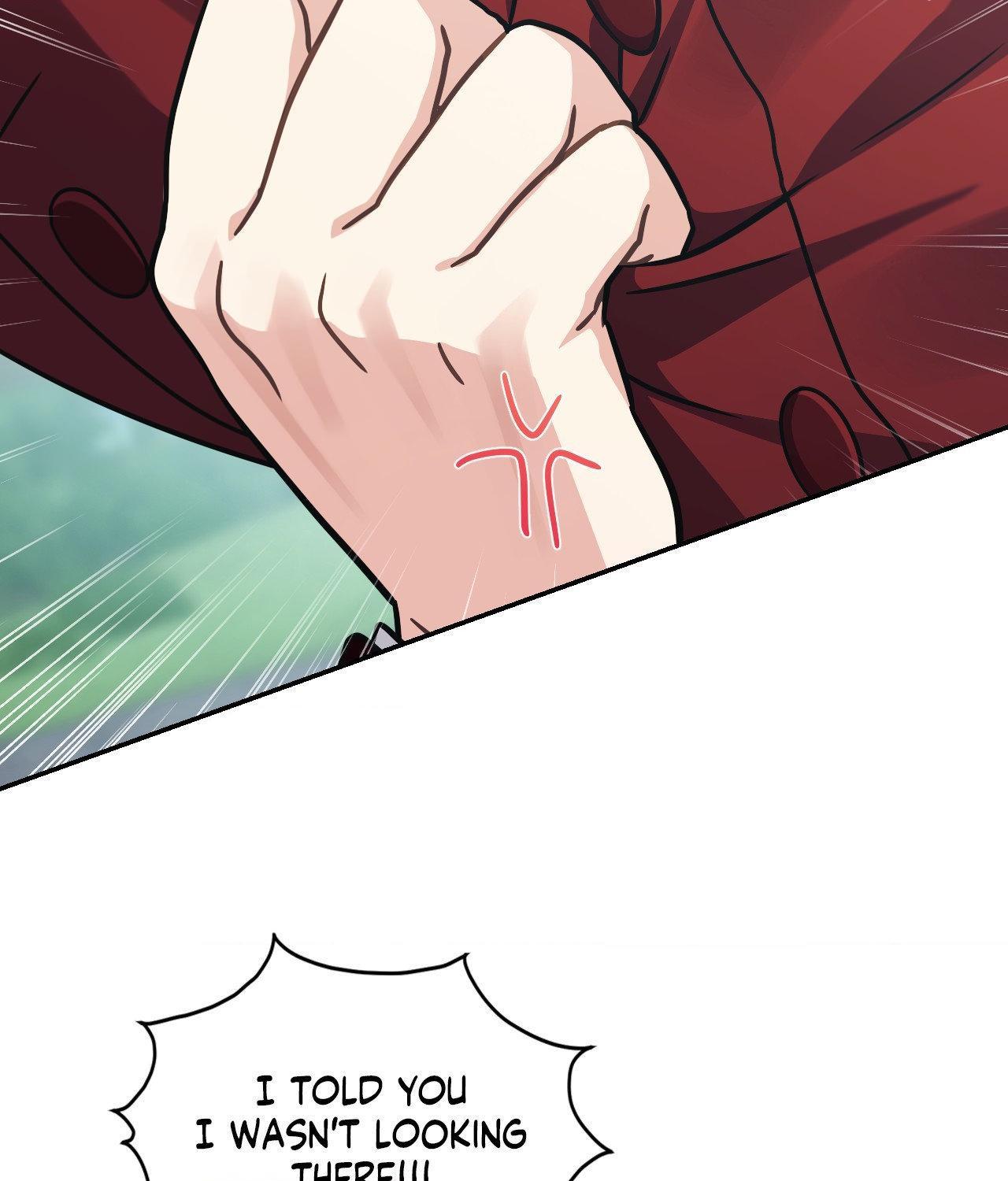 I’m Not Your Guide to Destiny Chapter 4.1 page 116 - 