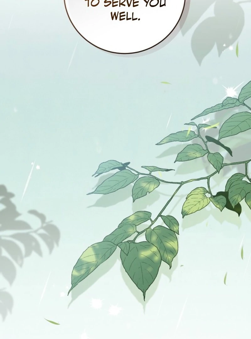 I’m Ready for Divorce! Chapter 32 page 51 - 