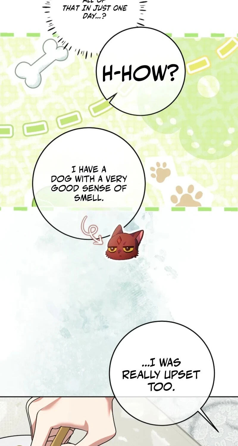 I’m Ready for Divorce! Chapter 64 page 67 - 