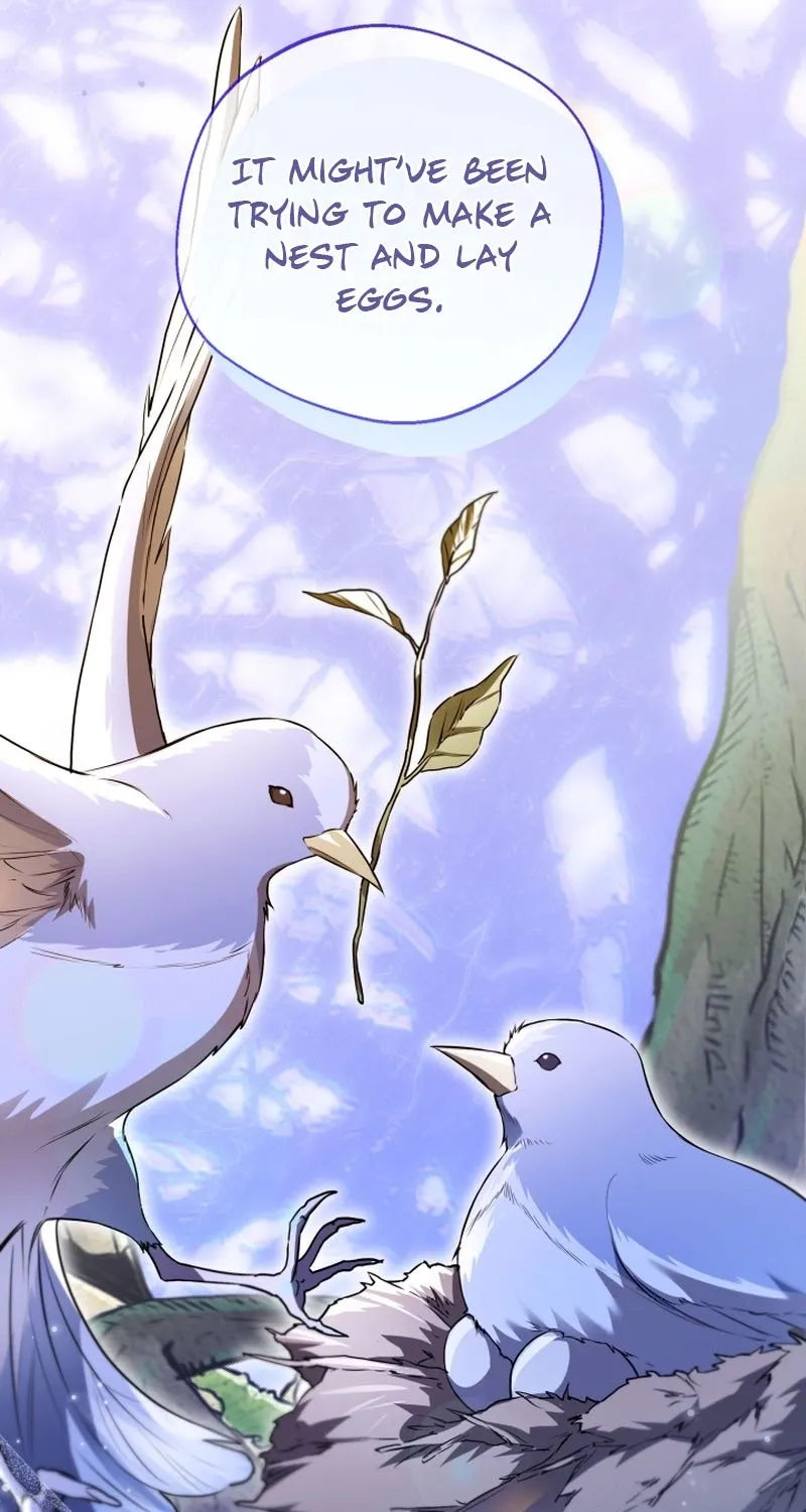 I’m Stuck on a Remote Island With the Male Leads Chapter 41 page 41 - 
