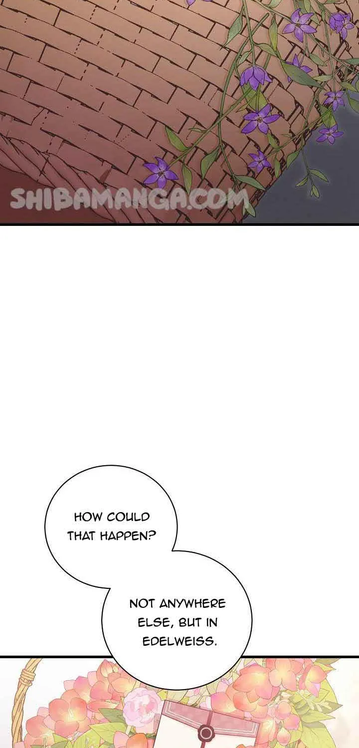I’m Sure It’s My Baby Chapter 29 page 43 - 