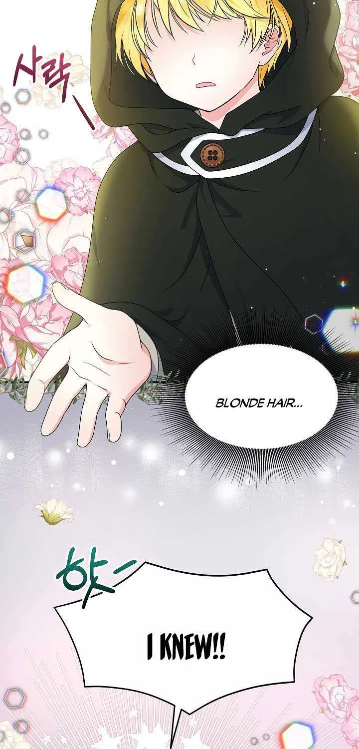 I’m the Main Character’s Child Chapter 26 page 30 - 