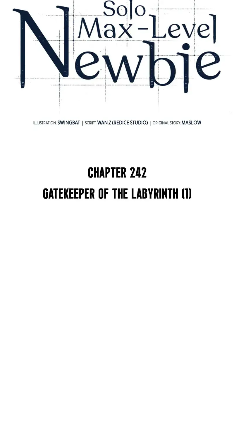 I’m the Max-Level Newbie Chapter 2.9 page 27 - 