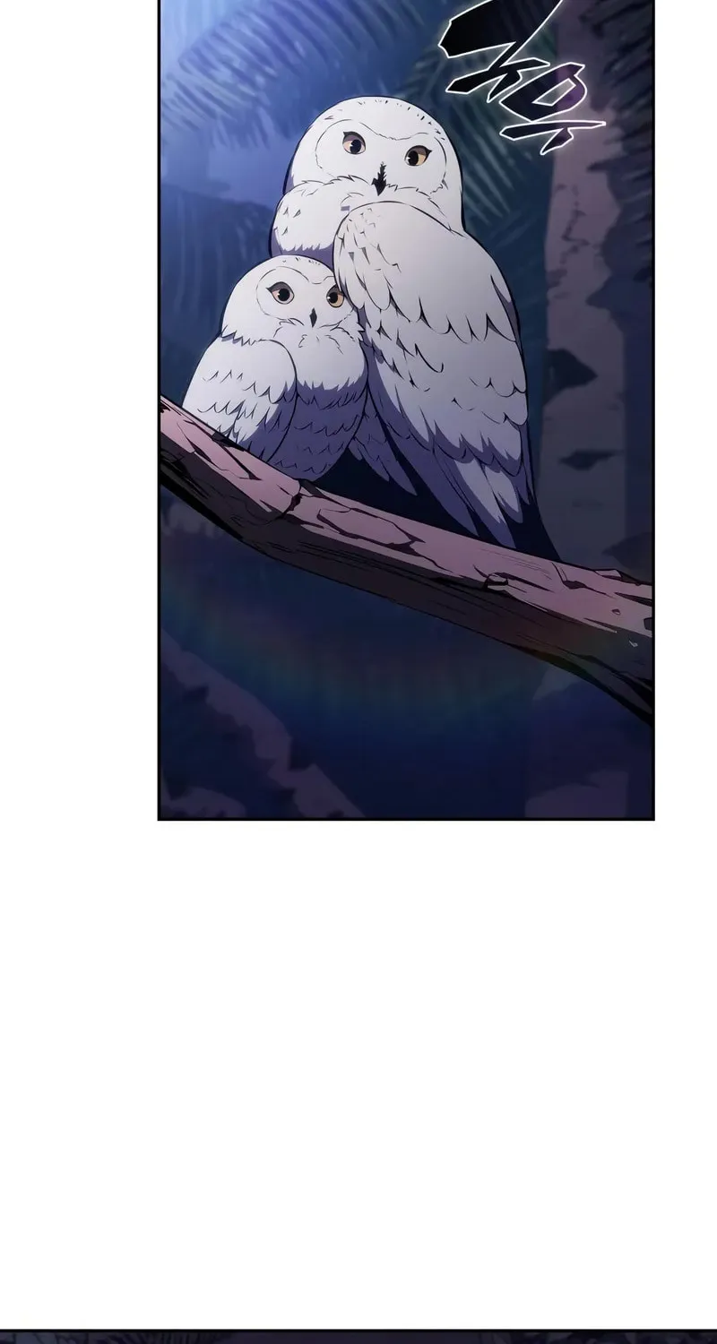 I’m the Max-Level Newbie Chapter 204 page 73 - 