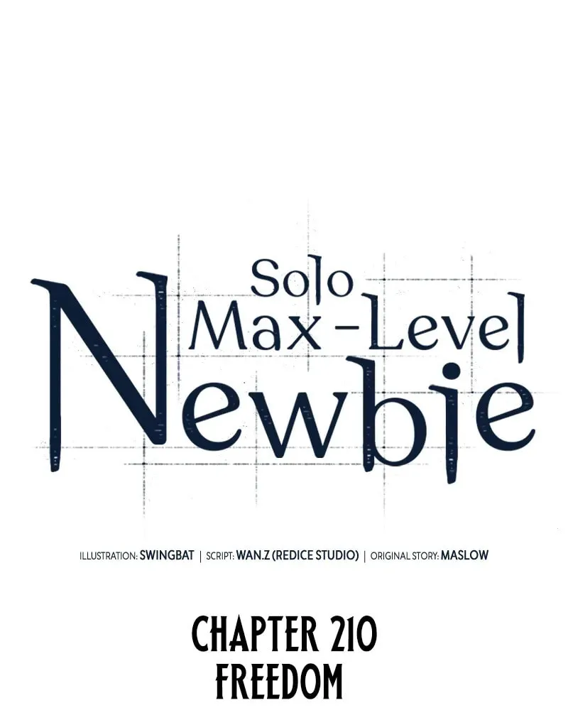 I’m the Max-Level Newbie Chapter 210 page 28 - 