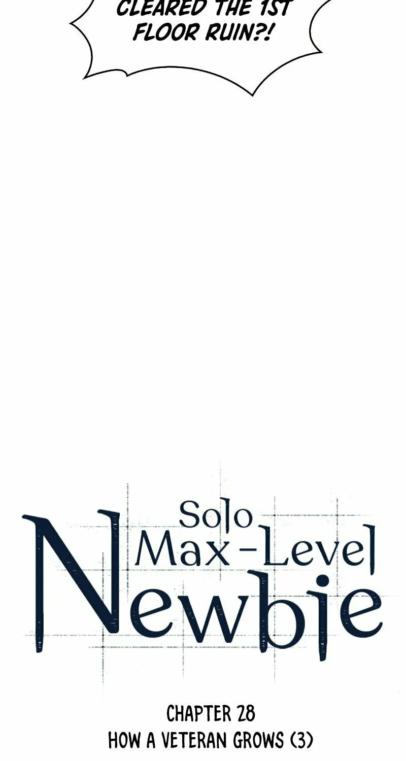 I’m the Max-Level Newbie Chapter 28 page 11 - 