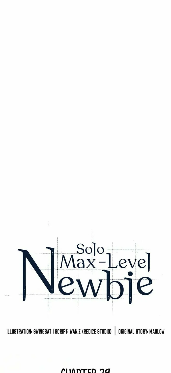 I’m the Max-Level Newbie Chapter 29 page 3 - 