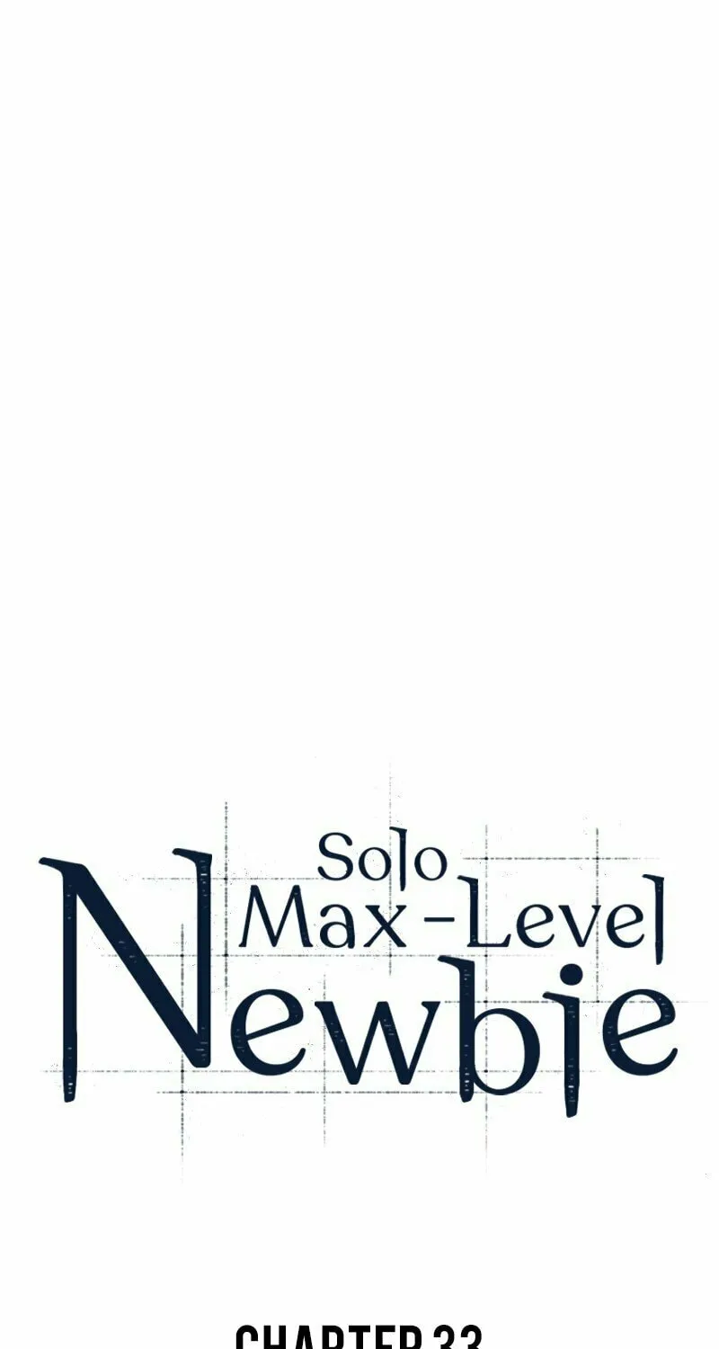 I’m the Max-Level Newbie Chapter 33 page 37 - 