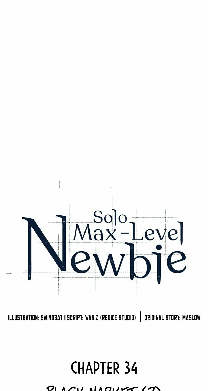 I’m the Max-Level Newbie Chapter 34 page 22 - 