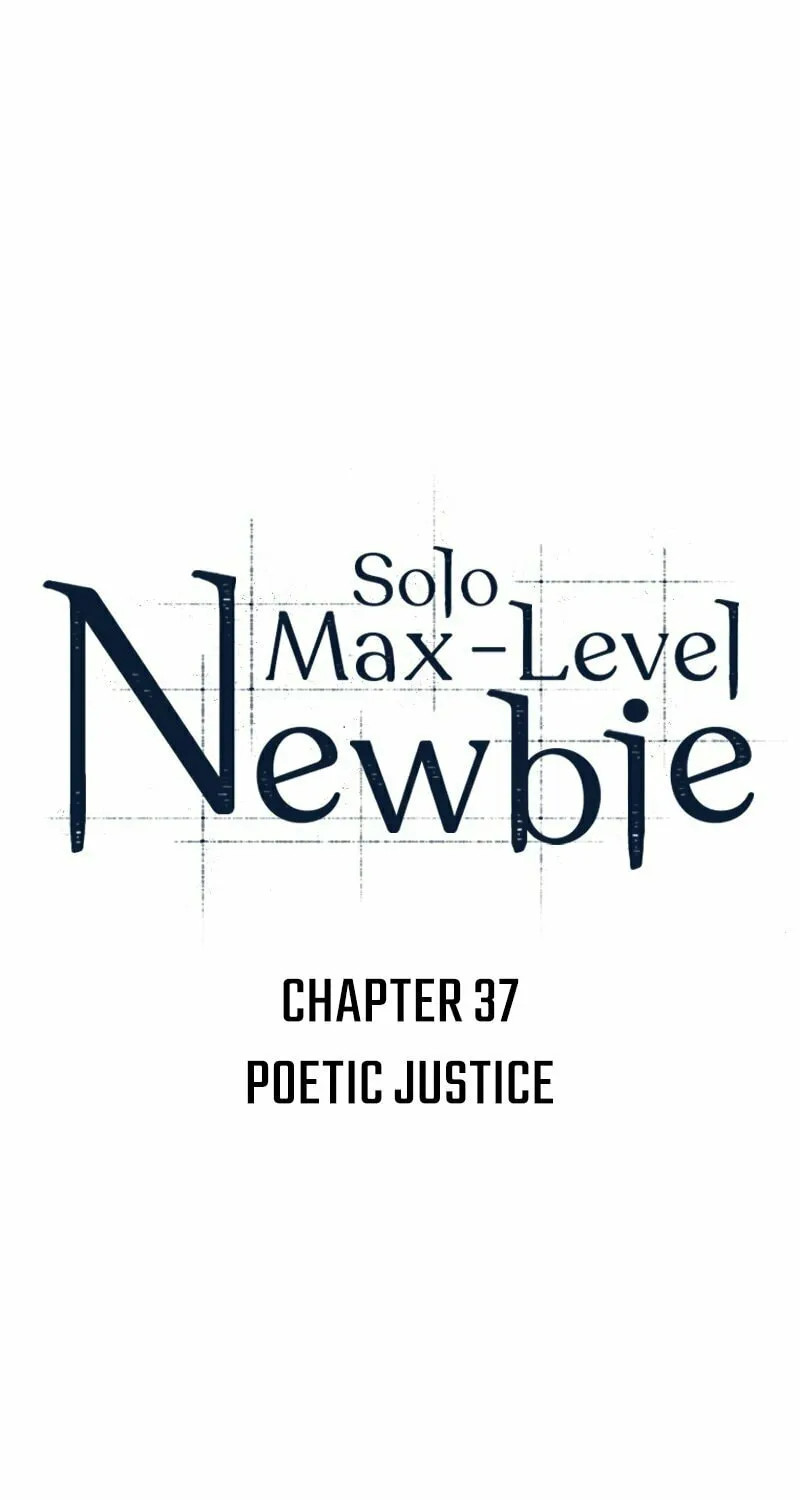I’m the Max-Level Newbie Chapter 37 page 3 - 
