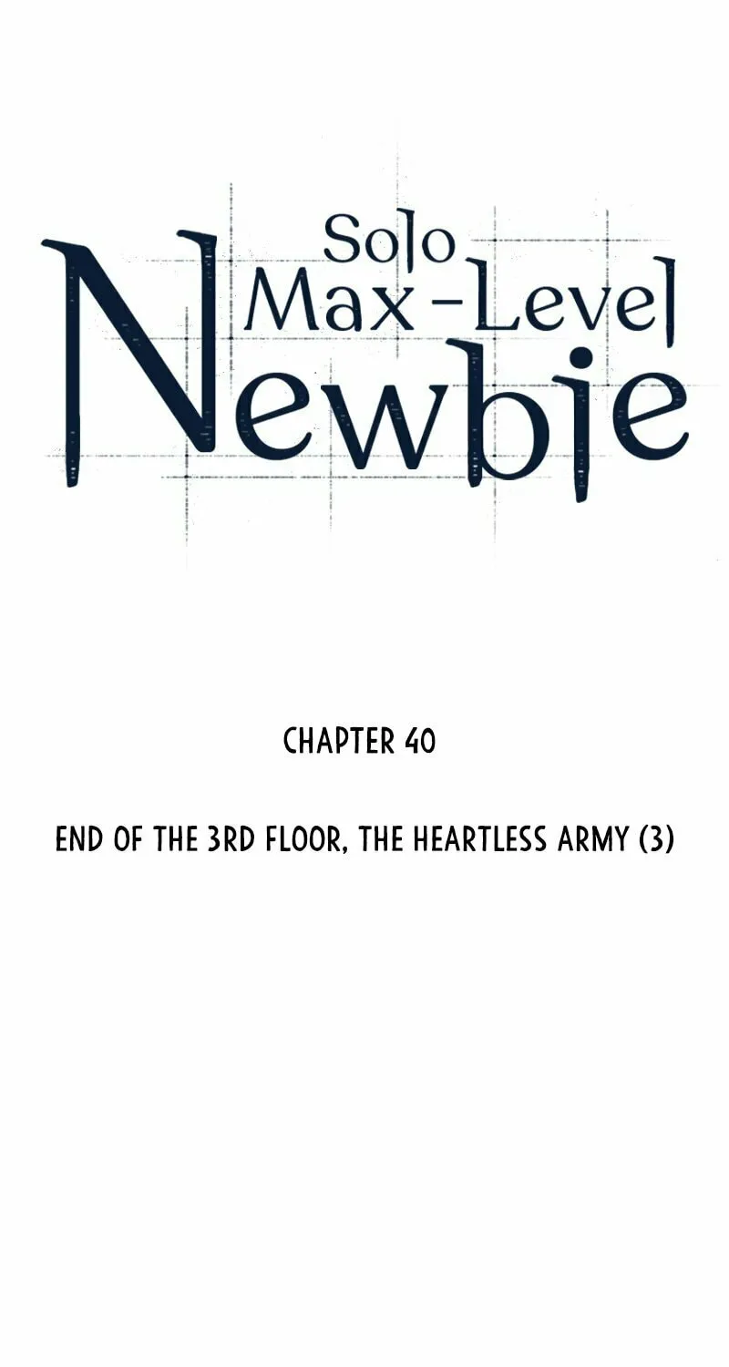 I’m the Max-Level Newbie Chapter 40 page 13 - 