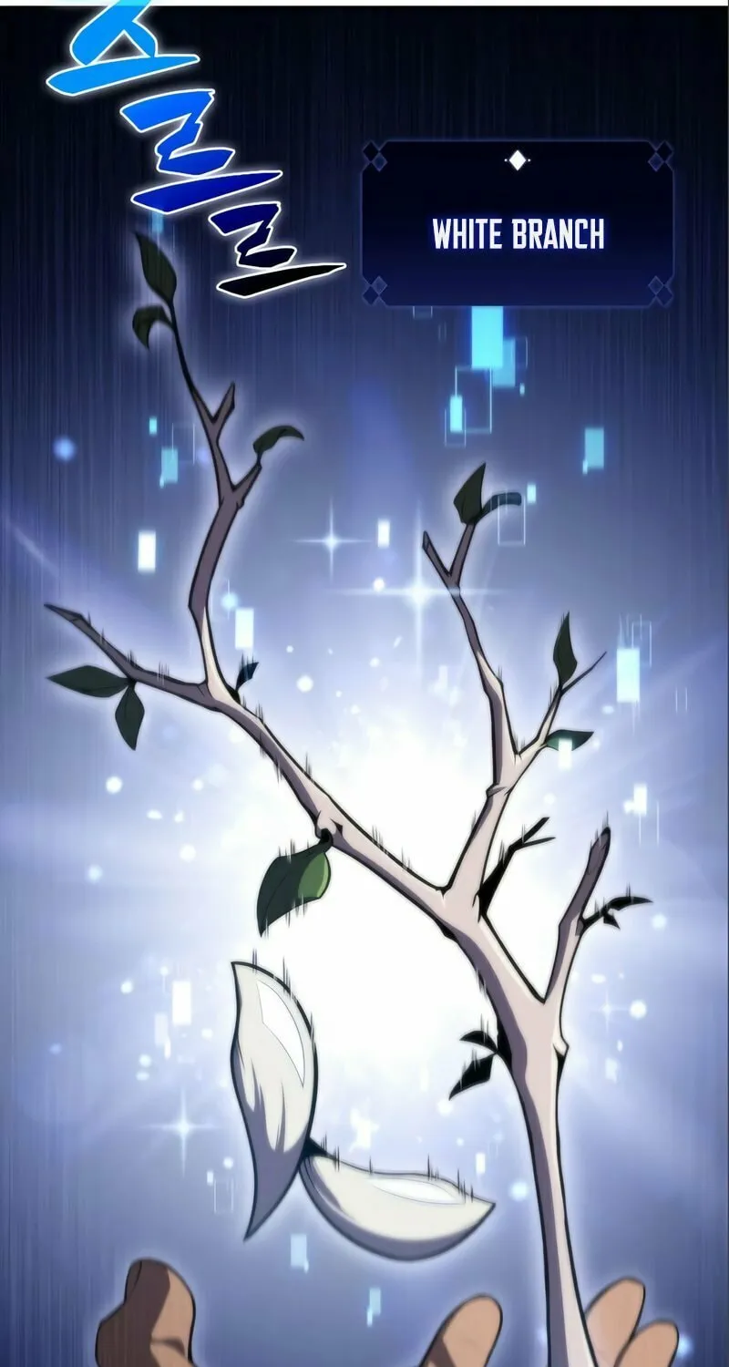 I’m the Max-Level Newbie Chapter 56 page 105 - 
