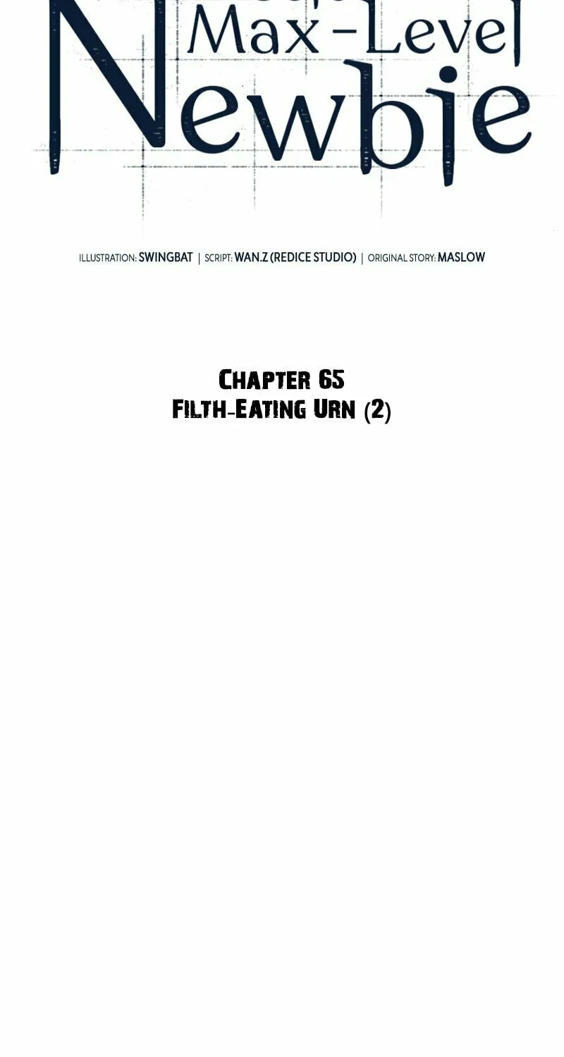 I’m the Max-Level Newbie Chapter 65 page 45 - 